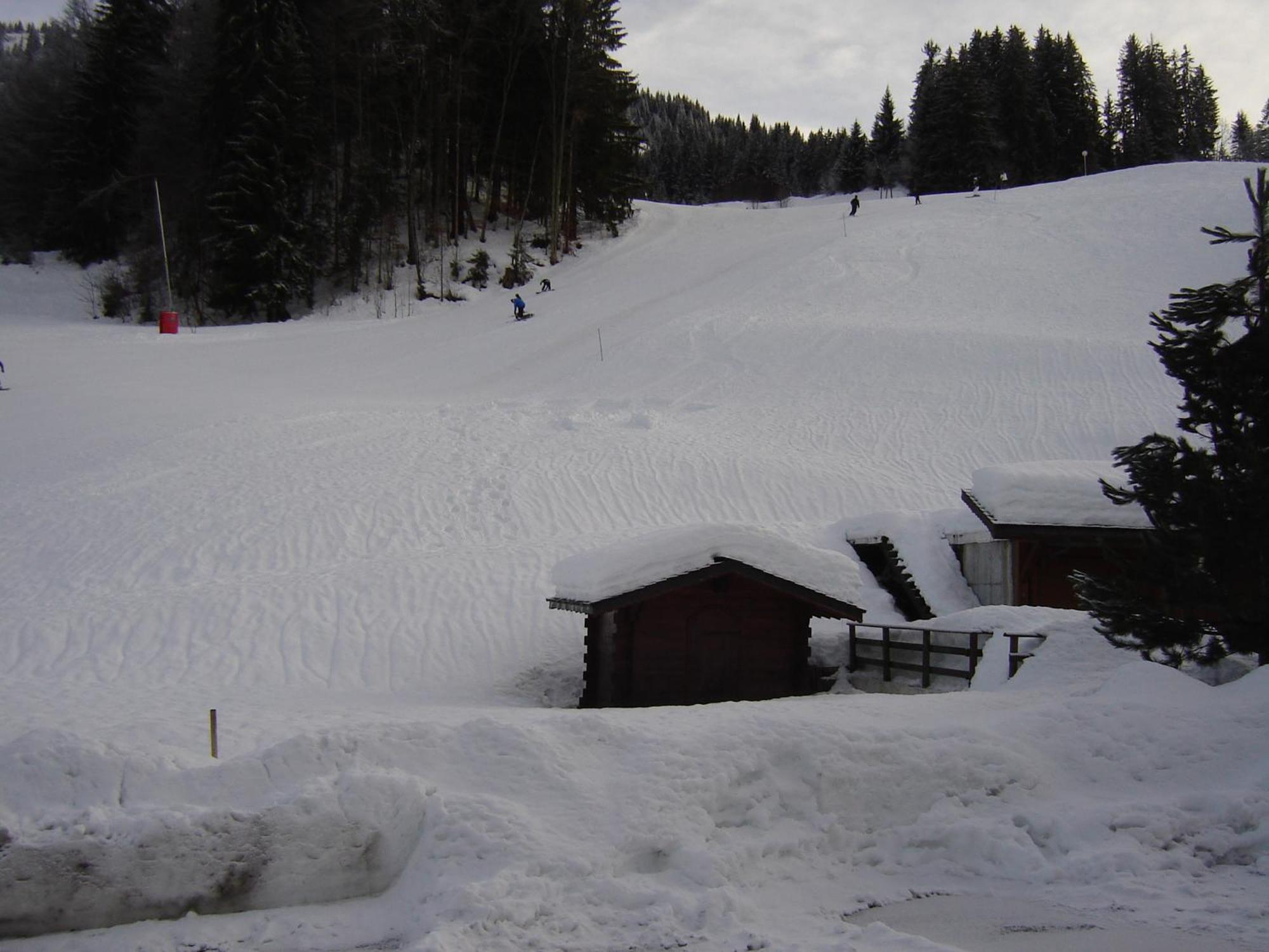 Hotel Les Bernards Praz-sur-Arly Exterior foto