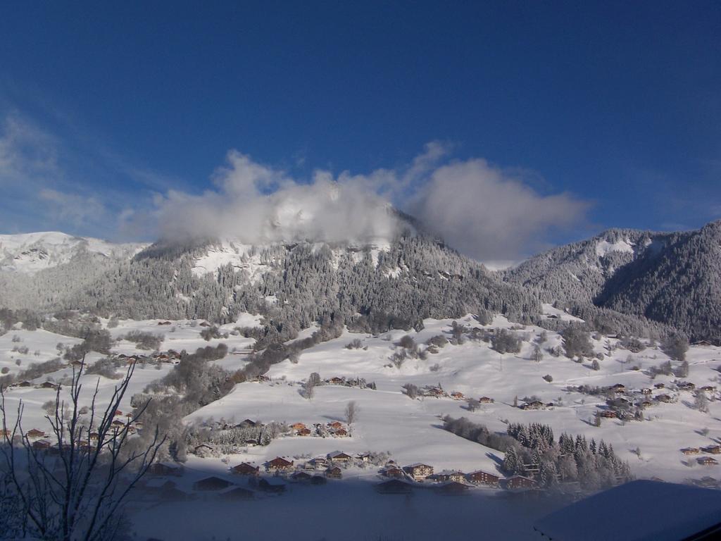 Hotel Les Bernards Praz-sur-Arly Exterior foto