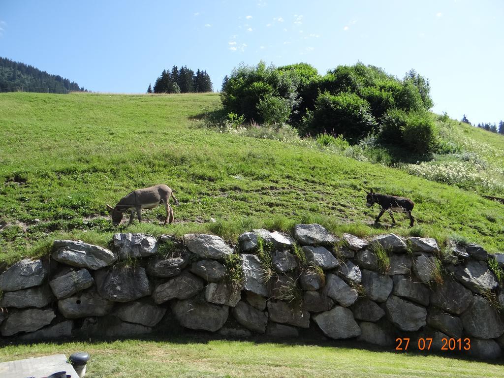 Hotel Les Bernards Praz-sur-Arly Exterior foto